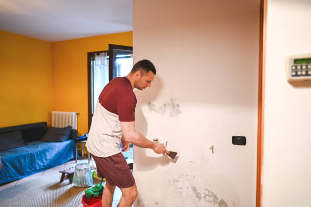 Best Emergency Mold Remediation in Minerva, OH